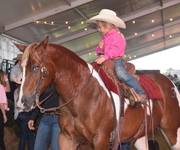Best of the West horse auction draws national bidders