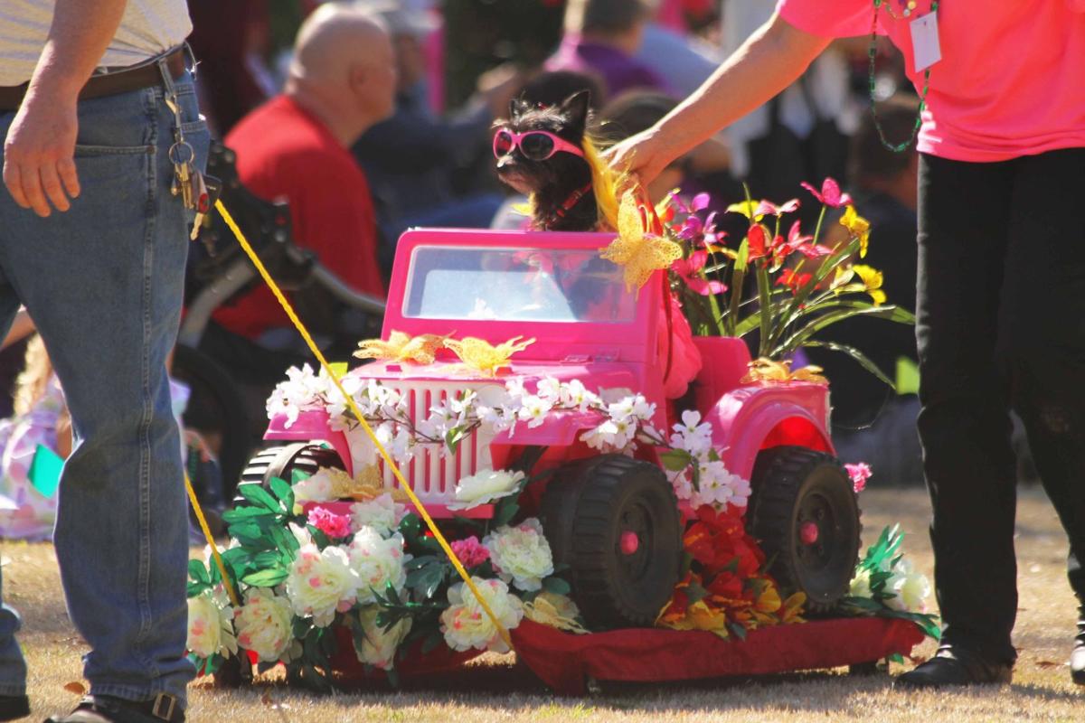 Mardi Gras Pawrade