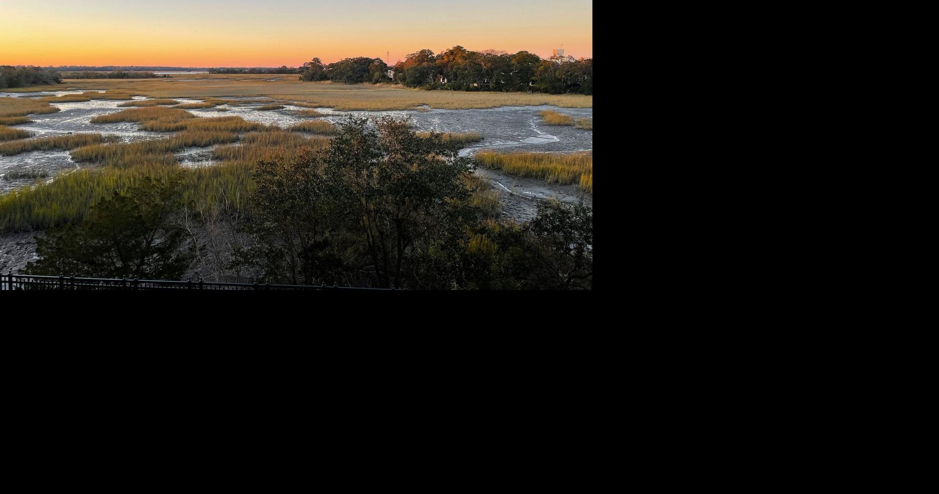 Editorial: South Carolina needs a plan to save our salt marshes