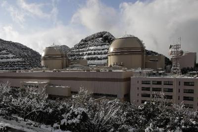 Japan&#146;s &#146;Nuclear Alley&#146; conflicted over reactors