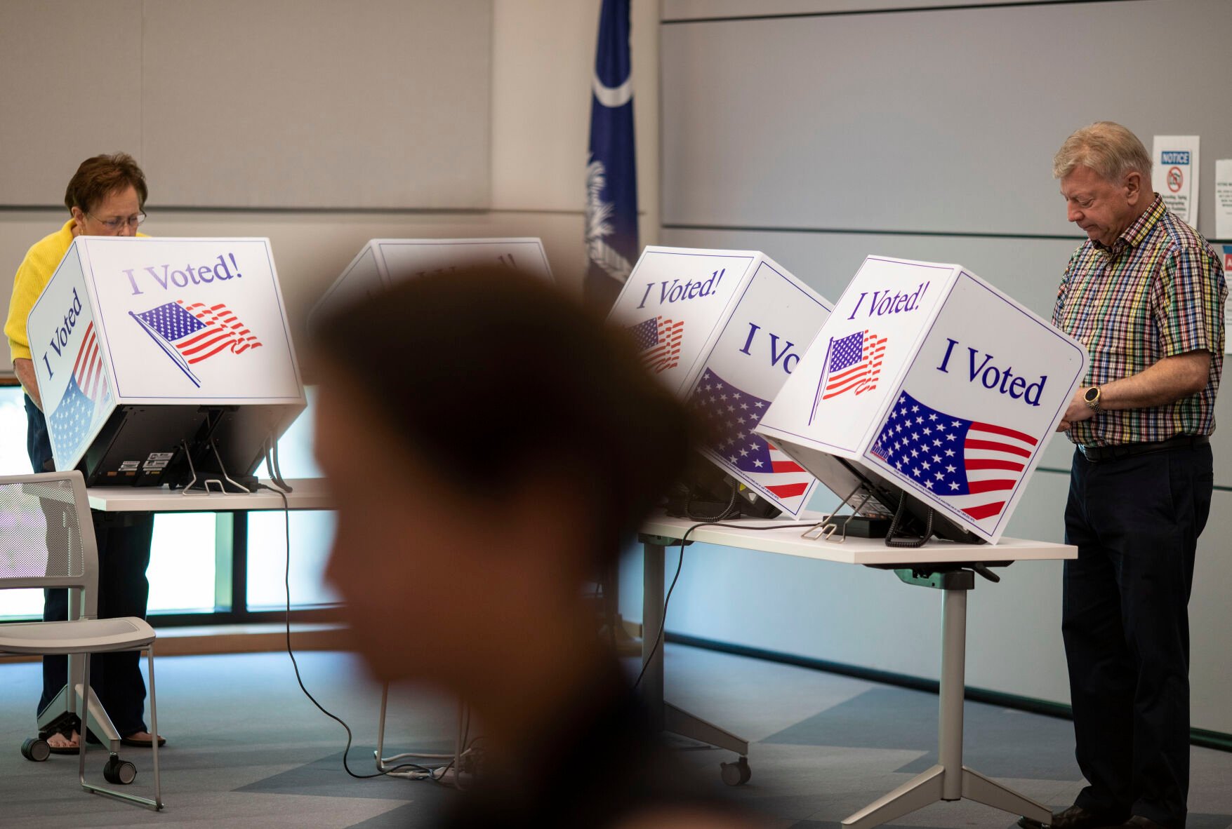 What you need to know about early voting in South Carolina Palmetto
