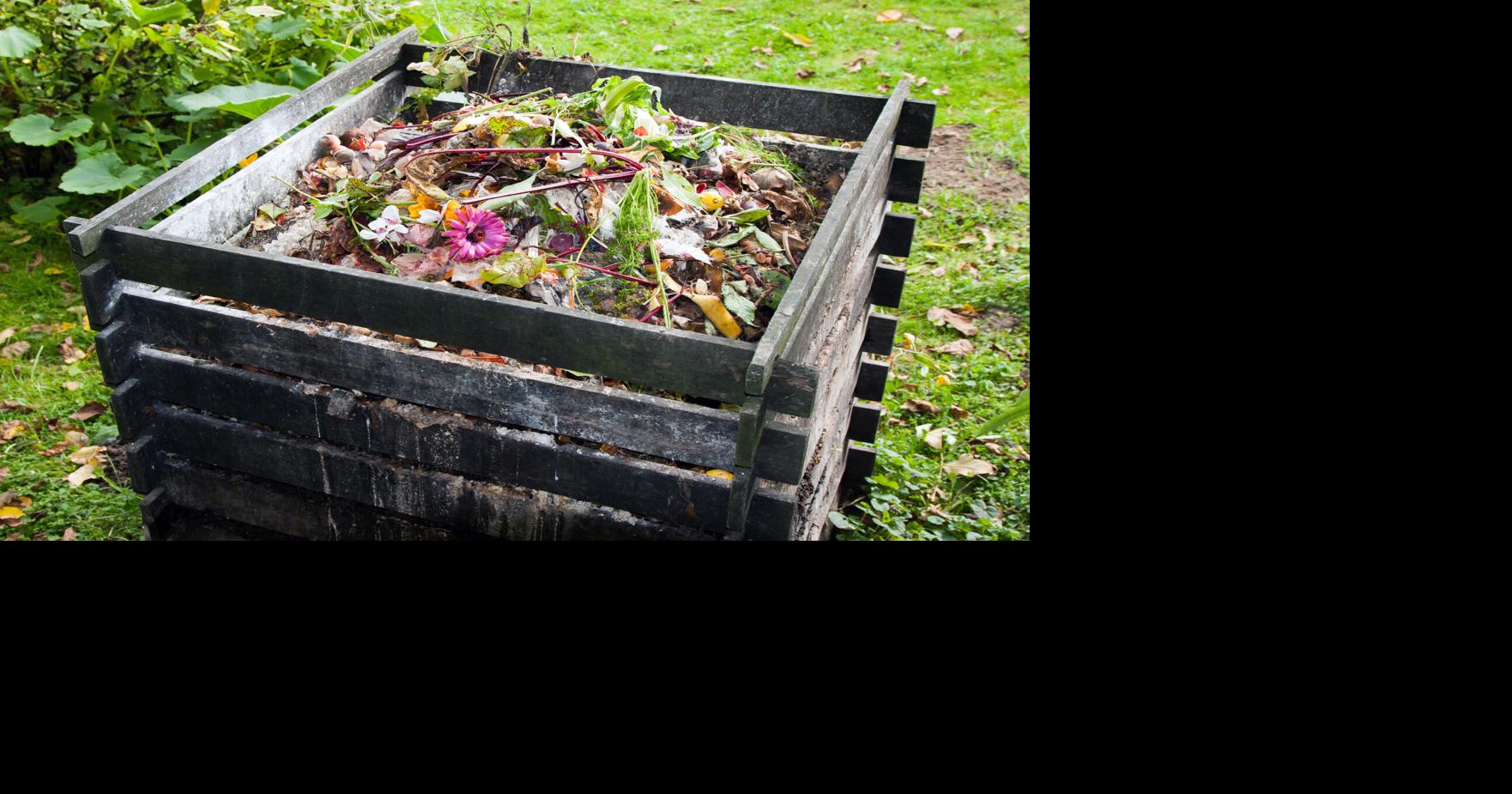 Tips and tricks for a rich home composter