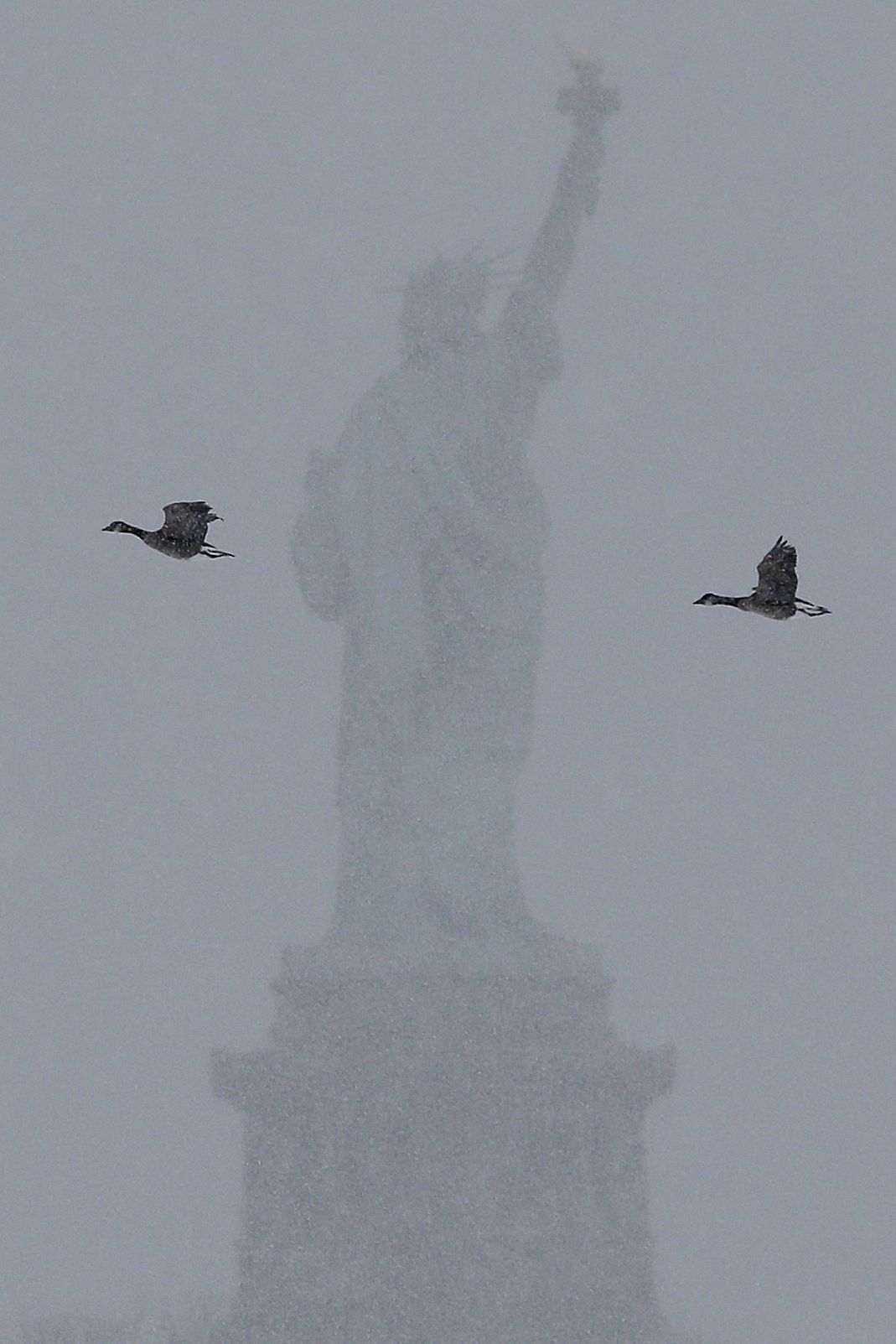 Winter storm wallops region