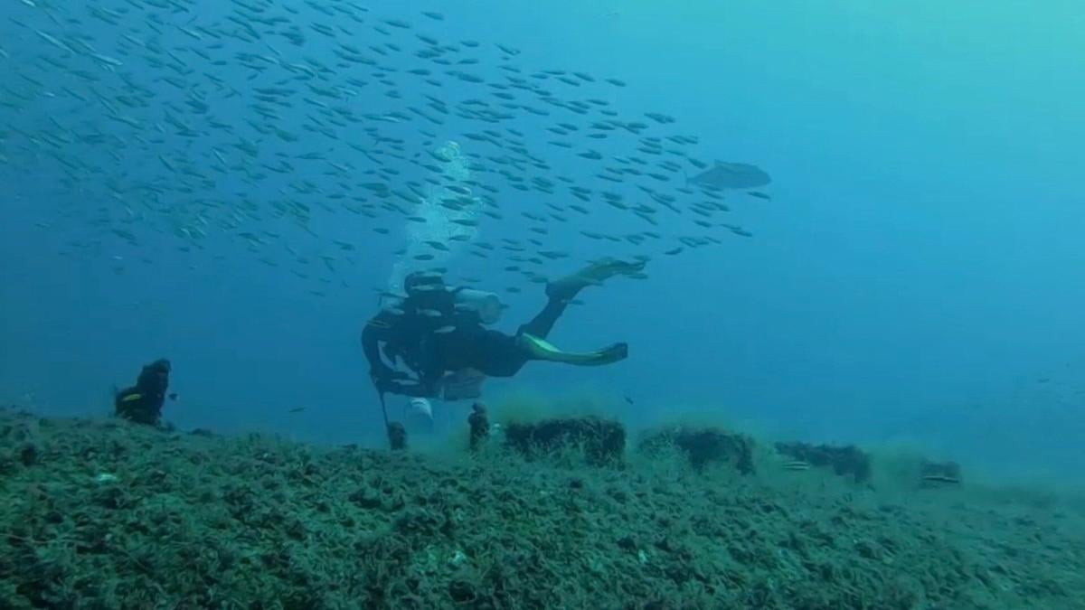 Trains Across the Sea, John Turck Collage, image size:1200x675