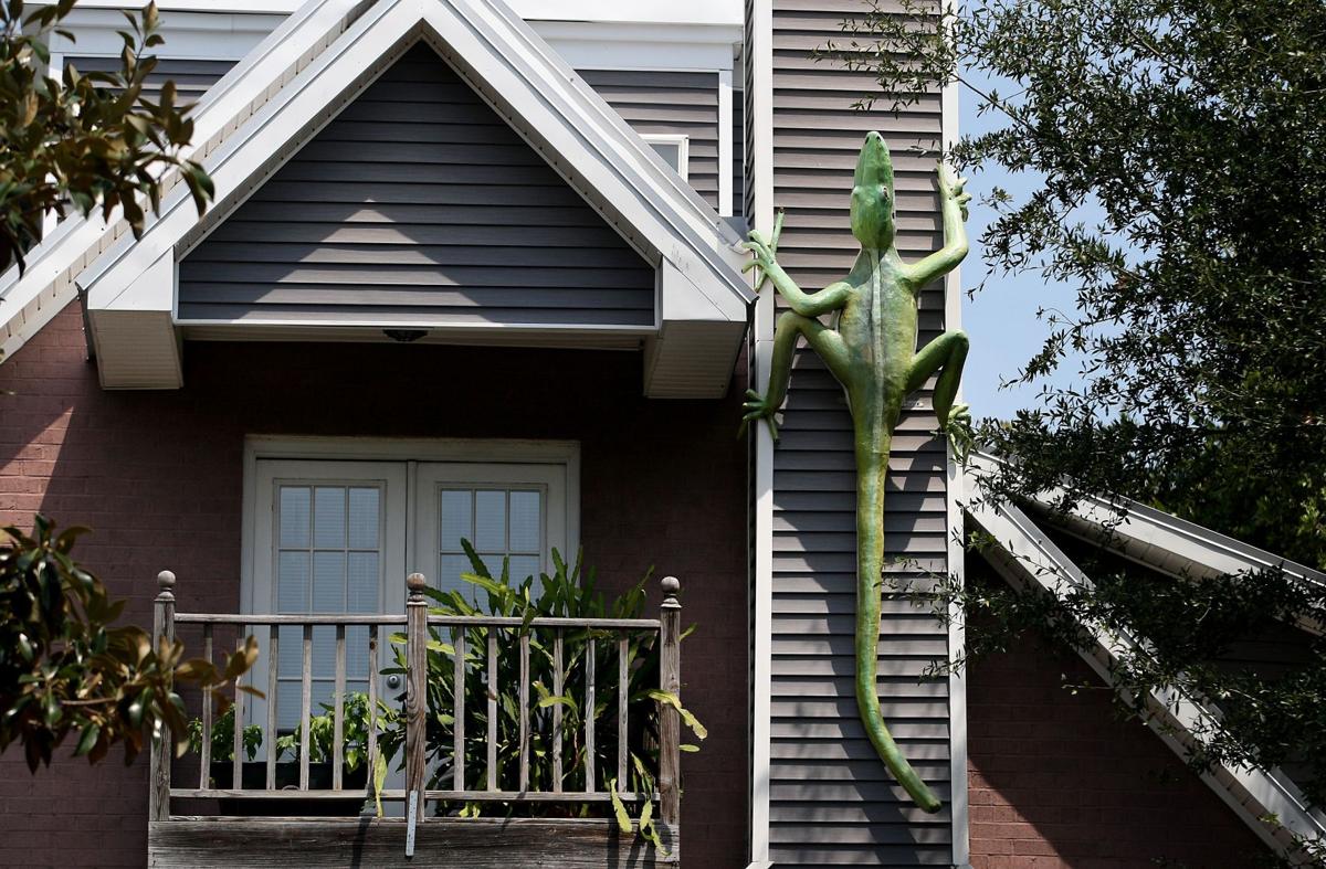 ‘LIZARD HOUSE’ Folly Beach home captures spirit of island Home and