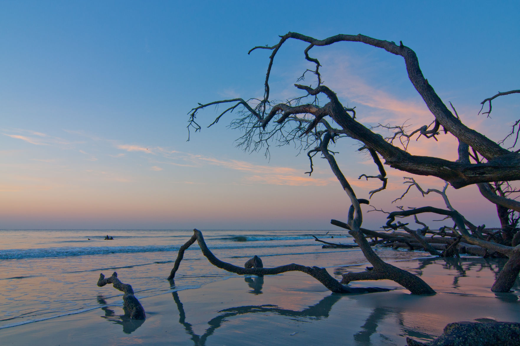 Little Hunting Island Boneyard Beach: A Hidden Gem for Travelers