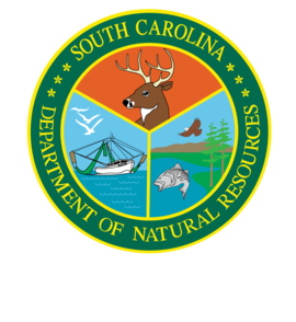 SCDNR, GADNR investigating fish mortality event in Savannah River ...