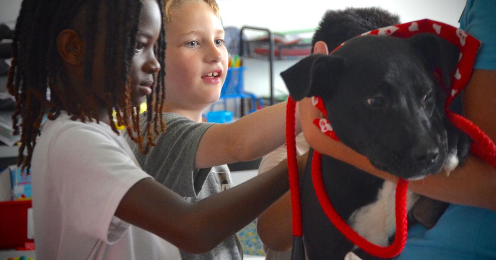 Local animal shelter brings dog to Graniteville Elementary | Aiken Area Education - Vimarsana News