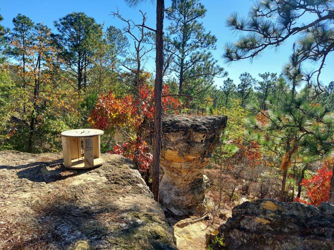 Two offbeat hikes near Columbia tell South Carolina's story