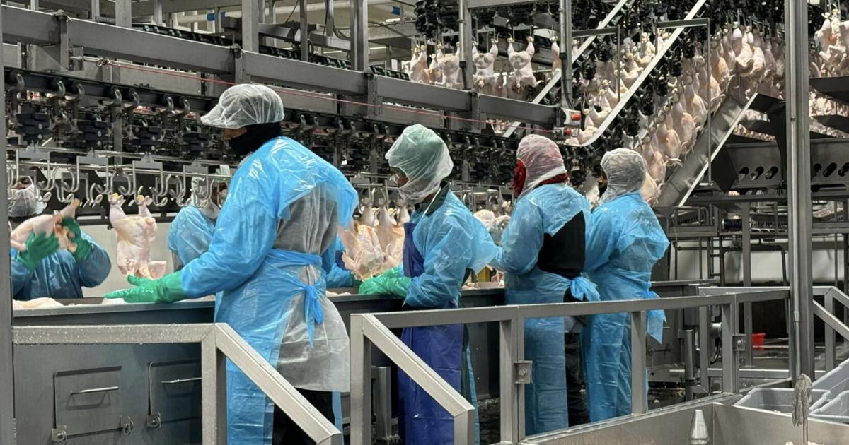 Opinion: Relocate West Columbia's chicken plant & redevelop