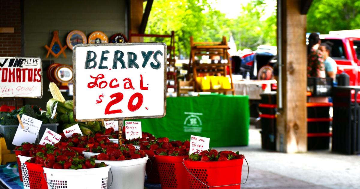 Berkeley County SC Community Calendar: April 1