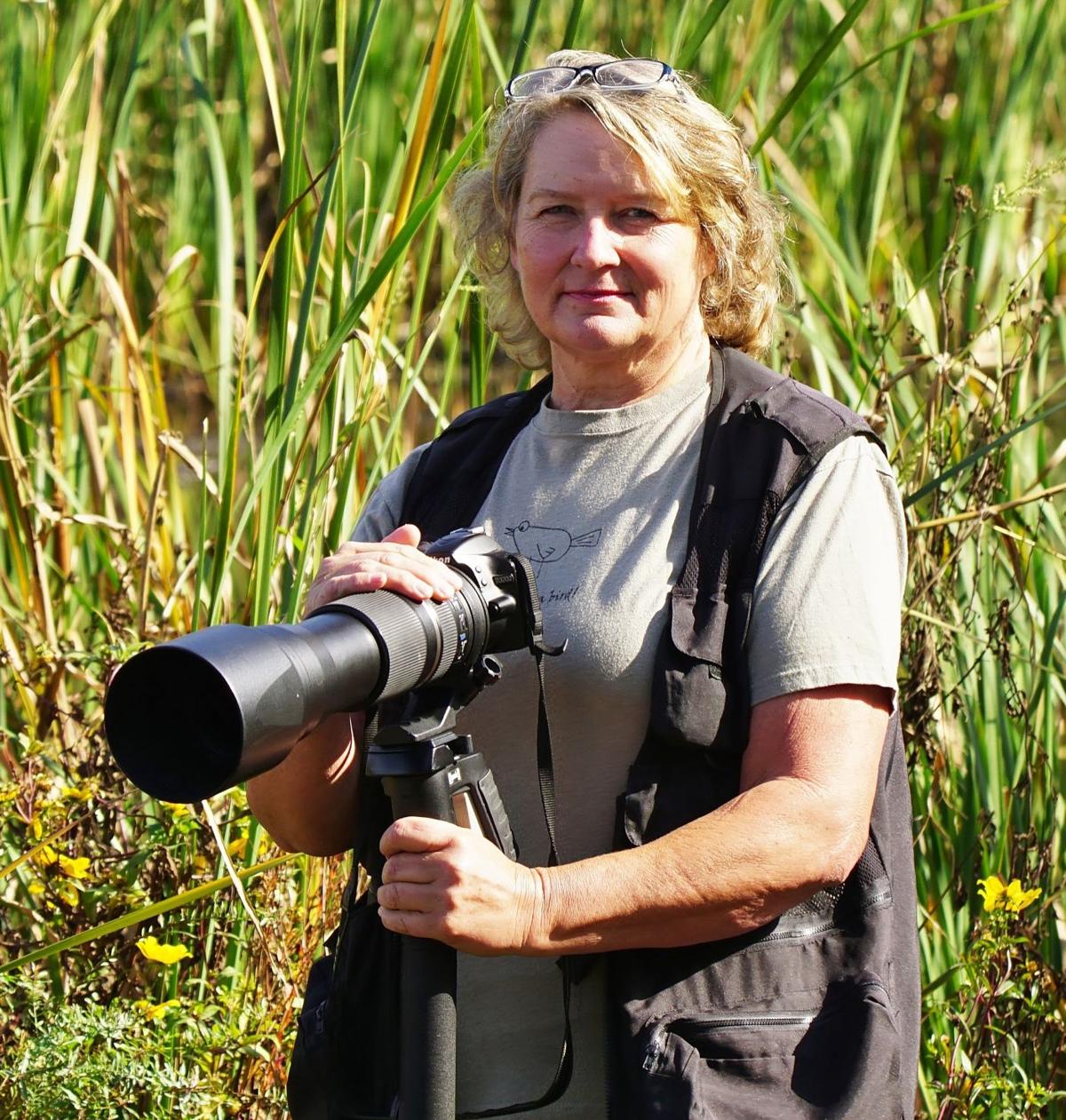 Bowman's backyard birds Multimedia