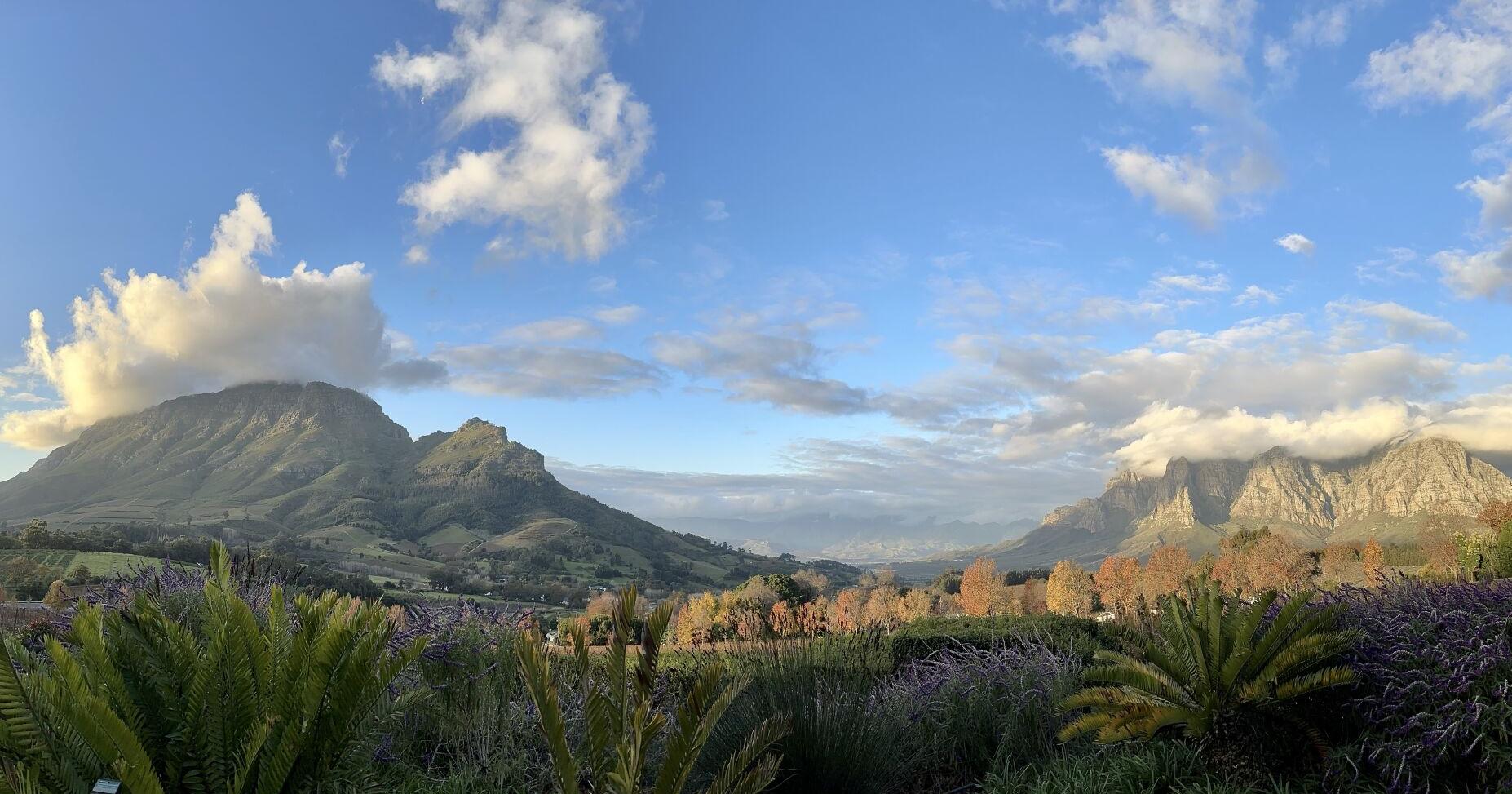 What our food editor ate and experienced over a week in Cape Town, South Africa - Vimarsana News