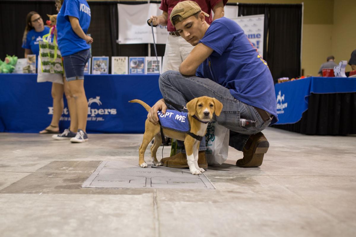 Pet Expo-October 14, 2017-751