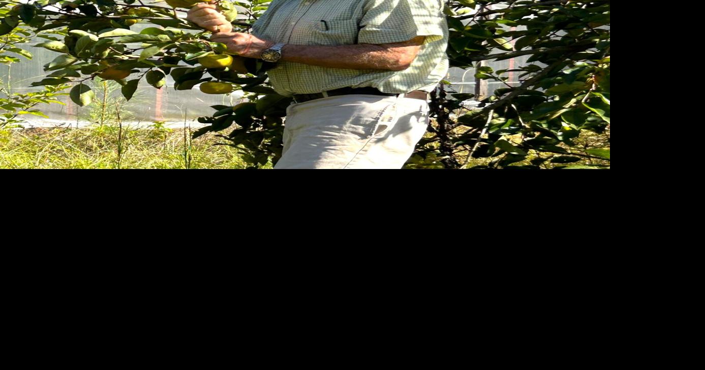 ‘Stan the Citrus Man’: One farmer’s grit transformed citrus growing in SC