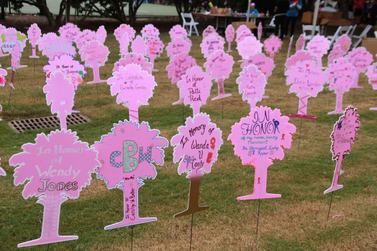 Lowcountry race for the cure For the promotion and encouragement of running and running activities for sport, recreation and health. To promote fellowship and competition among the community of greater Charleston, SC.