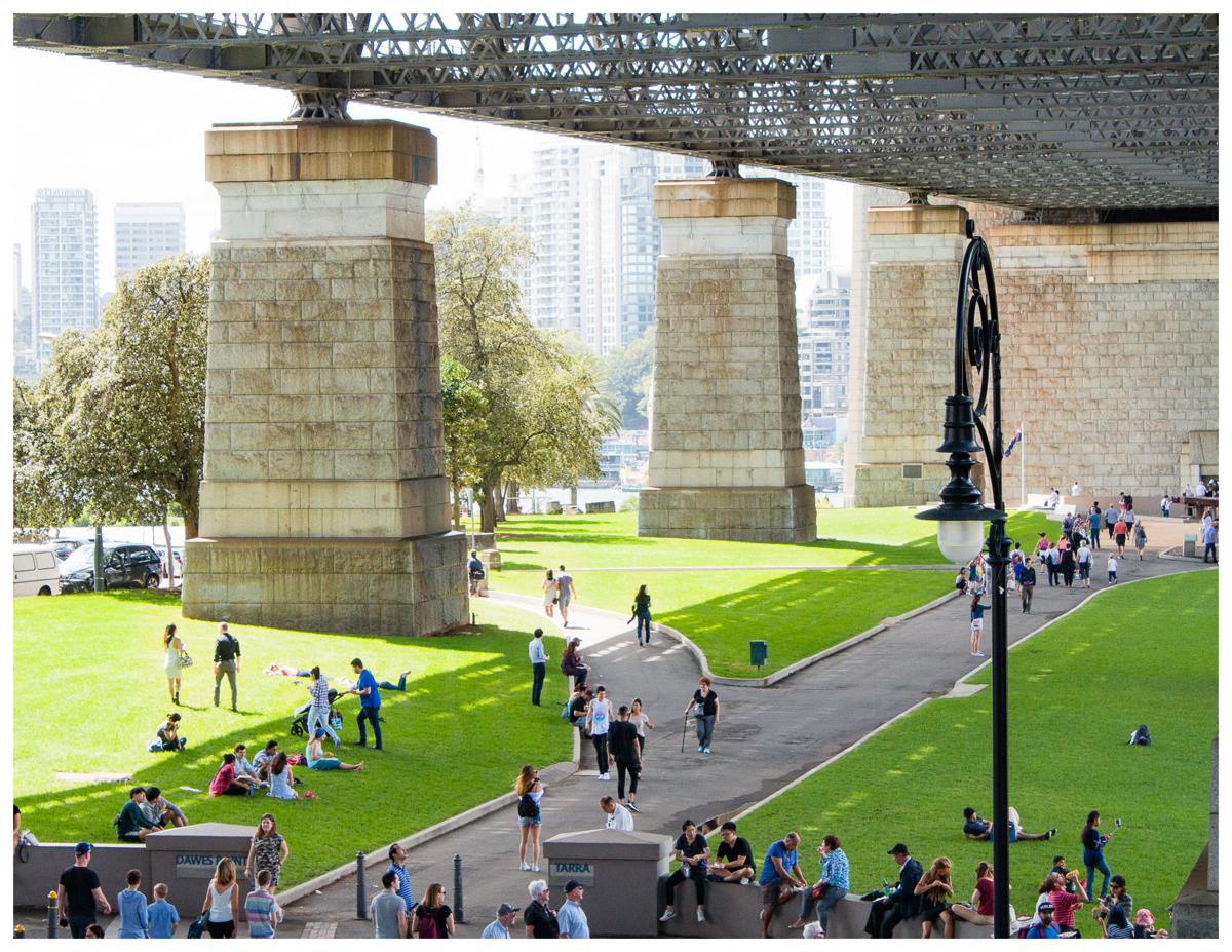 spinosa-Sydneypark.jpg