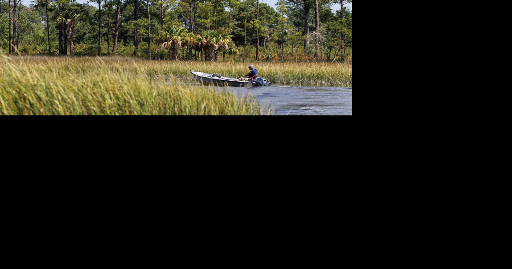 Federal appeals court clears path for development on Charleston’s Cainhoy Peninsula
