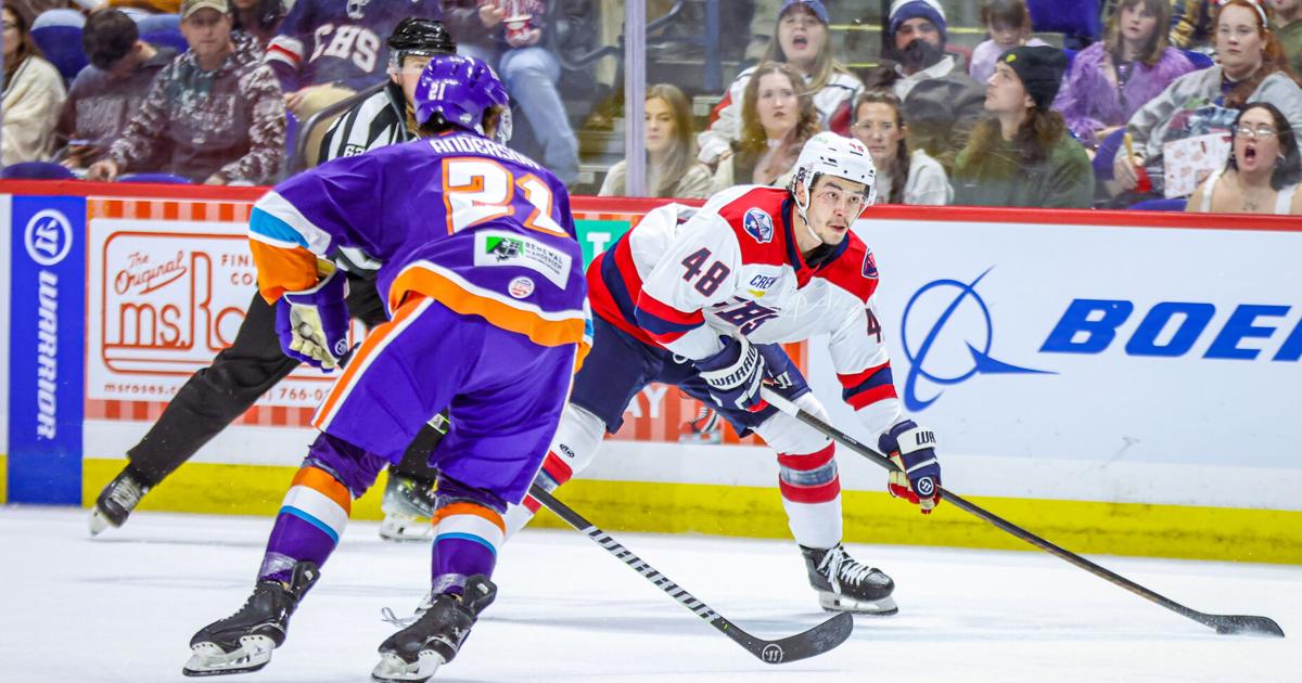 Former NHL draft pick has been ‘a coach's dream’ with South Carolina ...