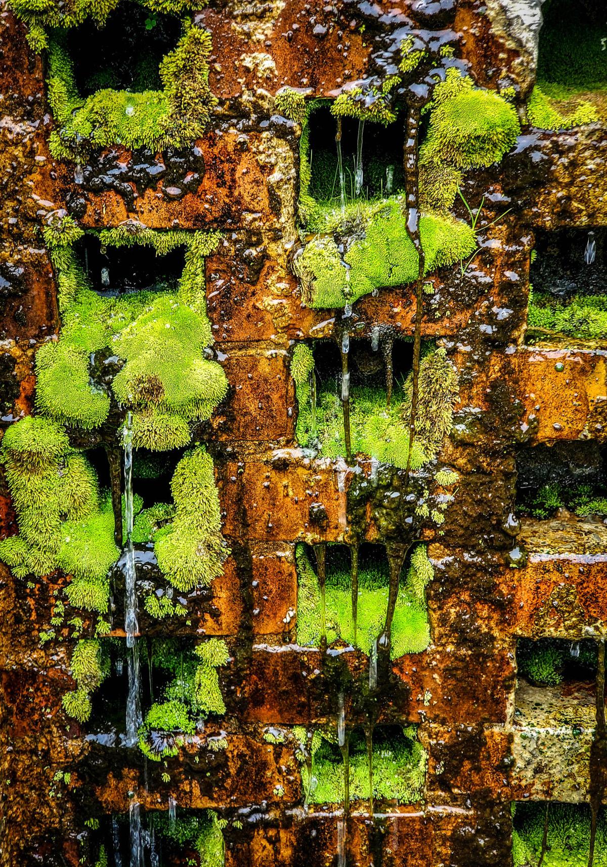 green mcgue.jpg