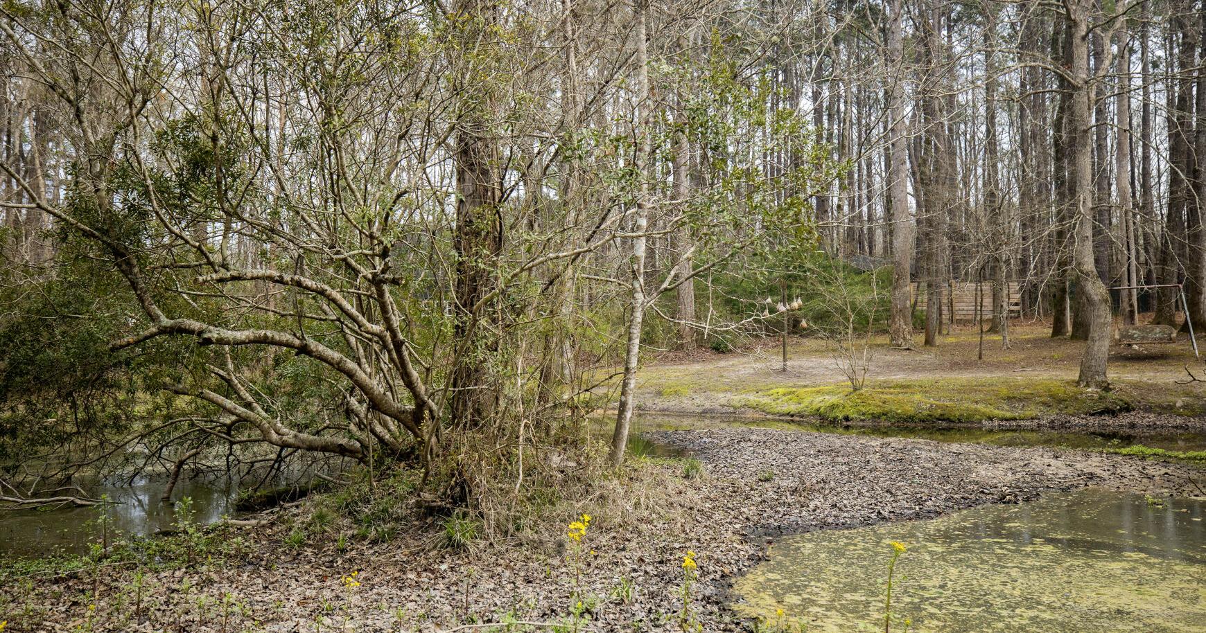 Why is mapping wetlands so difficult? | Rising Waters - Vimarsana News