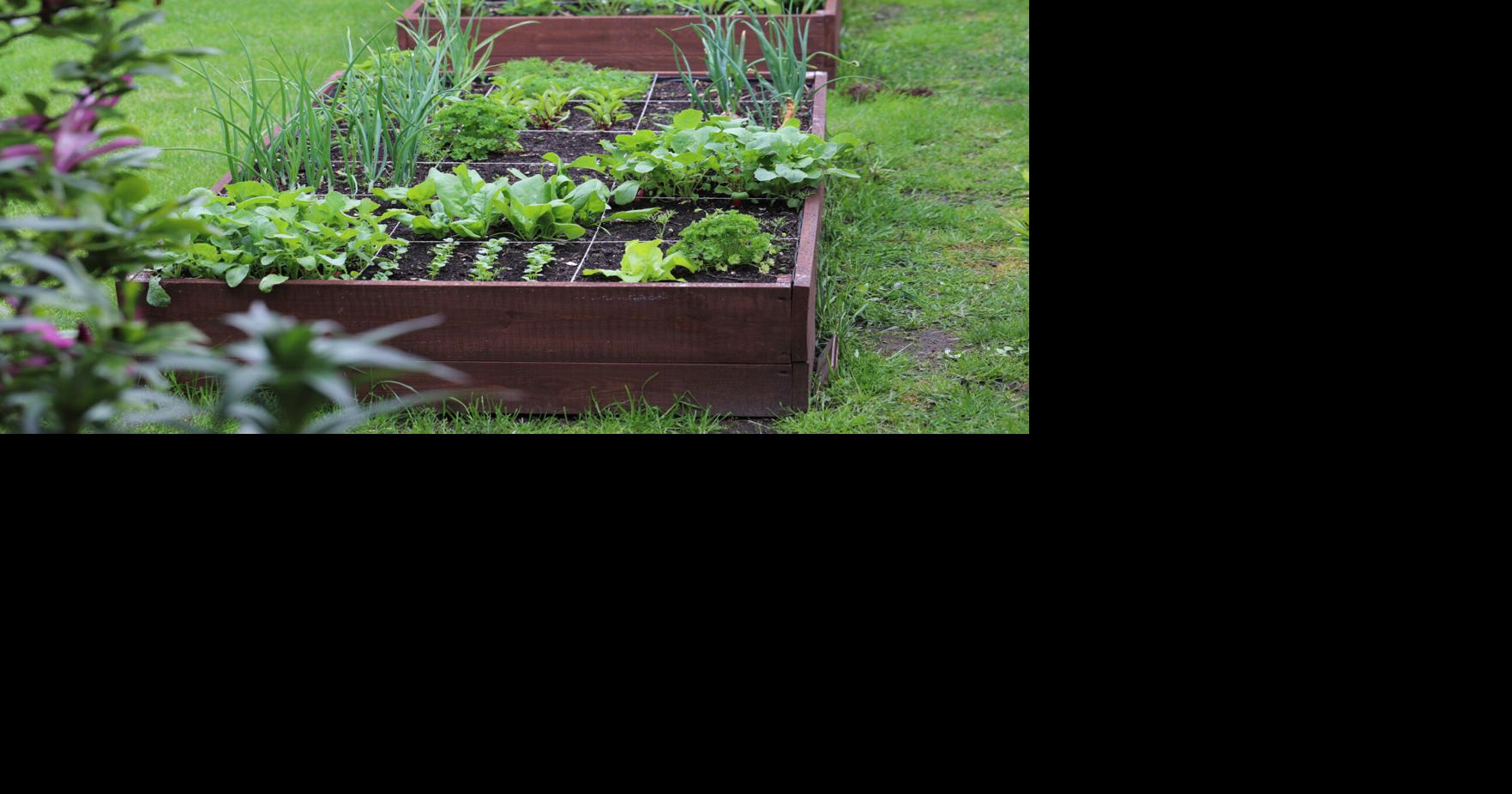 Gardening column: What is gardening
