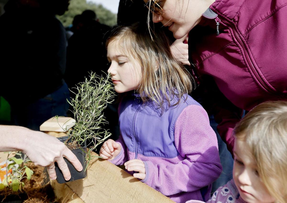 Charleston STEM Festival