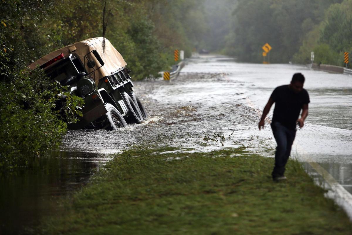 2015 Year in Pictures