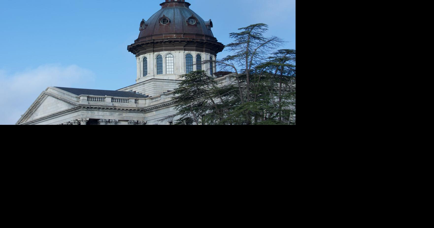 Portrait frames, soundproofing: SC disabilities board splashed cash ...