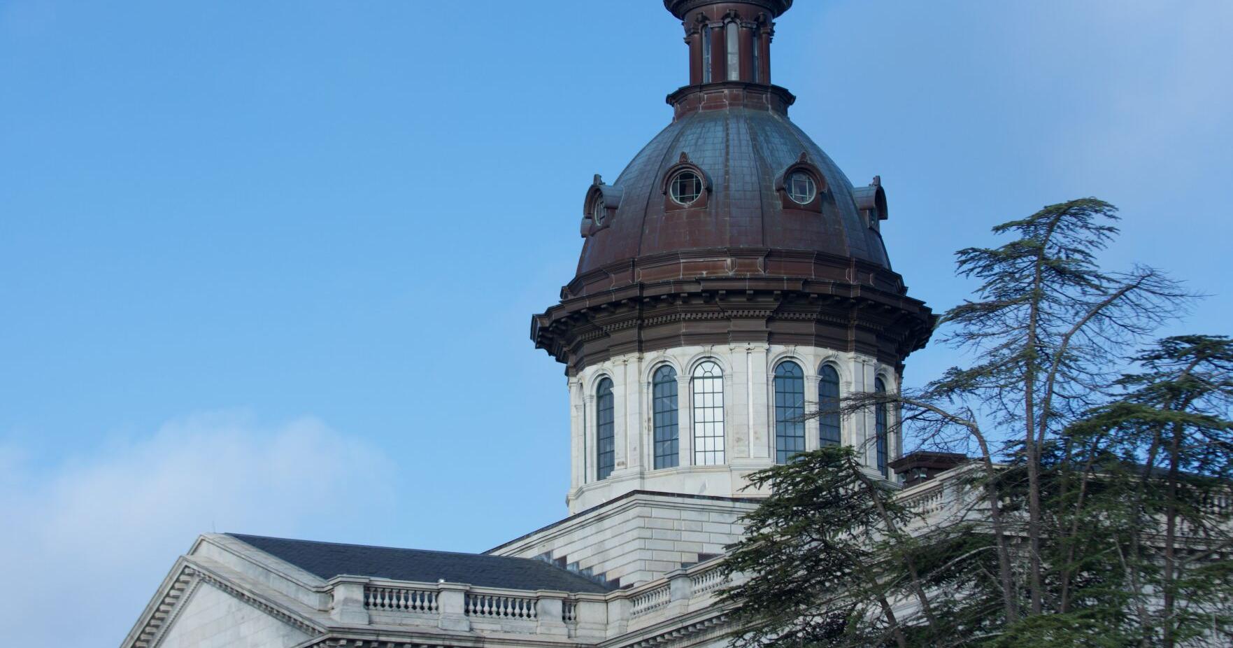 Portrait frames, soundproofing: SC disabilities board splashed cash, dodged FOIA laws