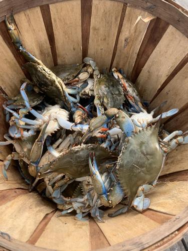 Celebrate the Fourth of July with a Lowcountry blue crab tradition, Staff
