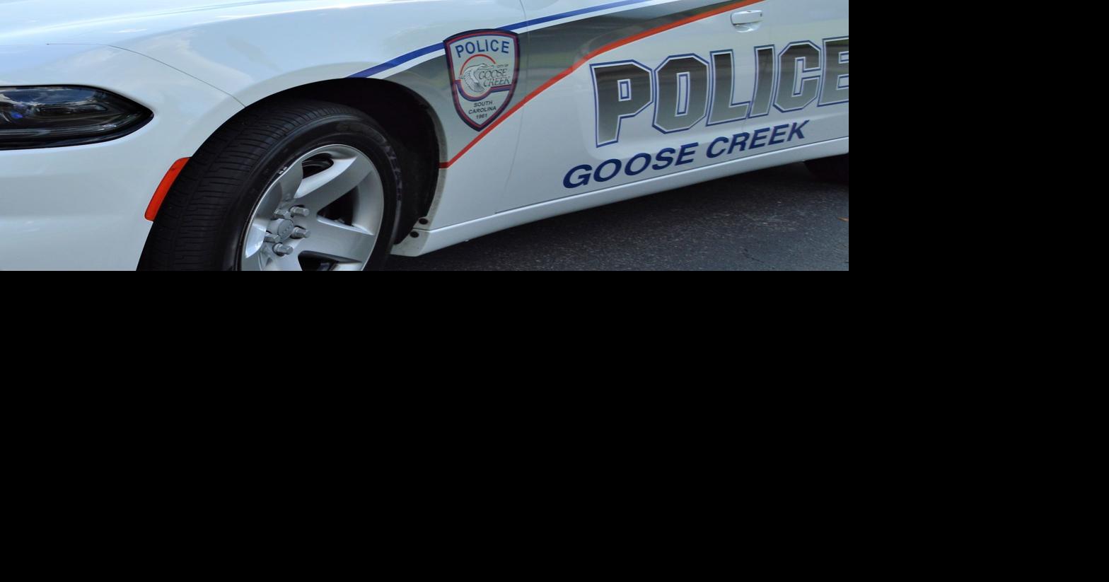 2 charged with neglect after elderly woman's death in Goose Creek admitted to mental health court
