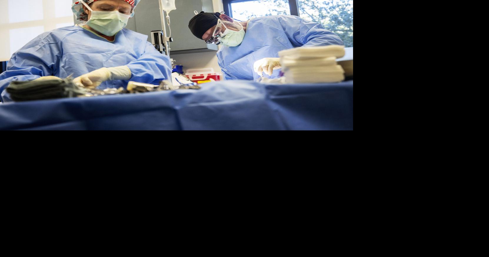 SC reforms should help doctors create more clinics