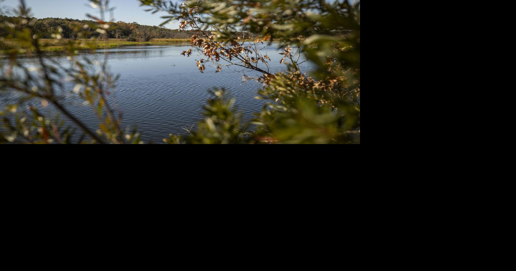 Open Space Institute commemorates Blessing Plantation and its legacy ahead of its park transformation