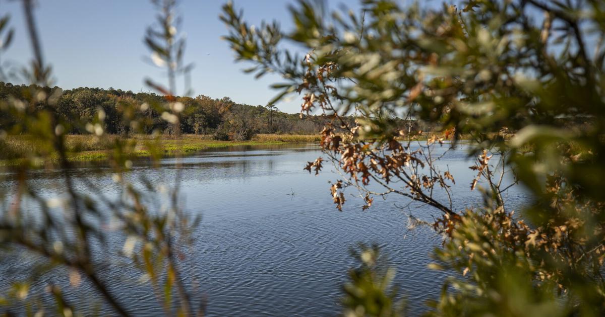 Open Space Institute commemorates Blessing Plantation and its legacy ahead of its park transformation
