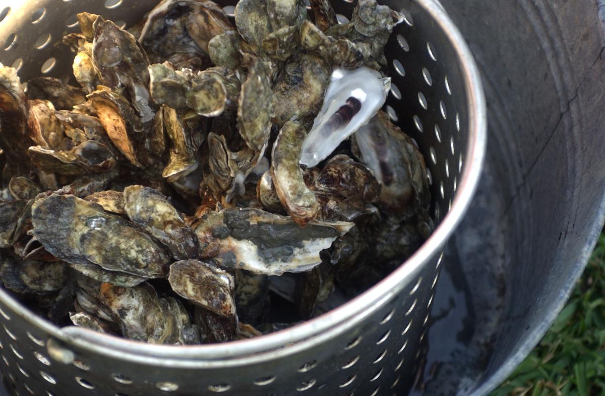 The Lowcountry loves its oyster roasts Charleston Scene