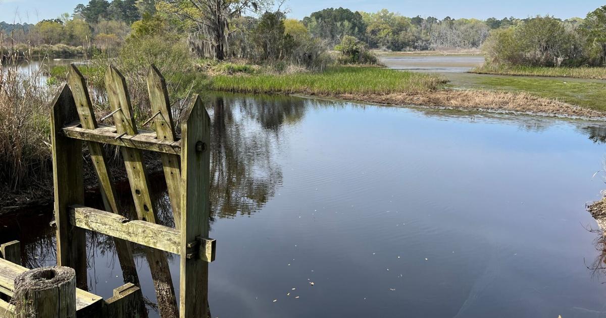 Great local escapes await in the A.C.E. Basin