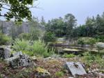 abandoned granite quarry.jpg