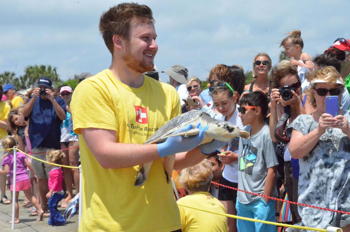 SC Aquarium releases six rehabbed sea turtles