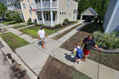Turf Troubles Home And Garden Postandcourier Com