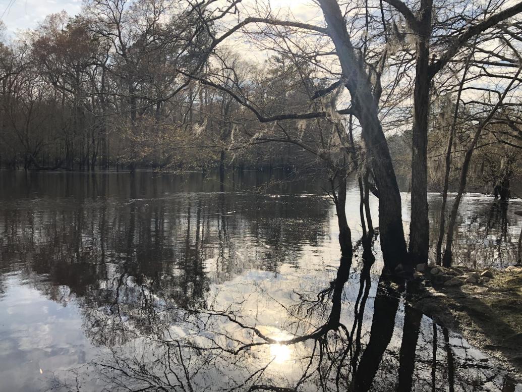 Black River initiative can create a great state park and aid conservation Opinion