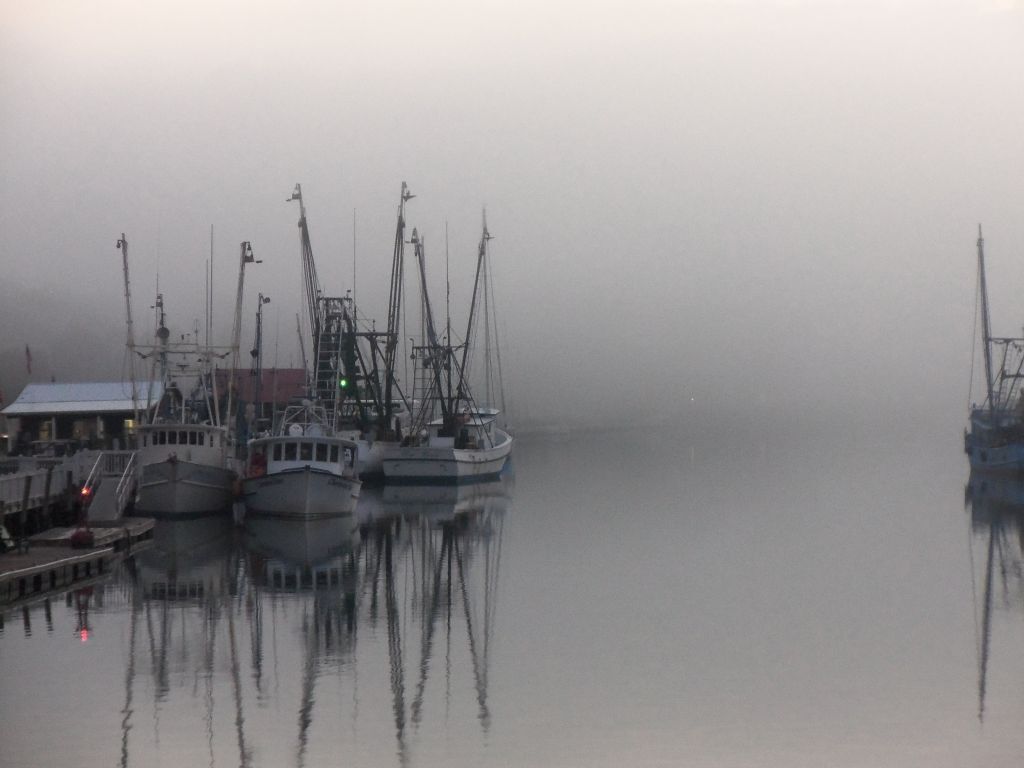 foggy shem creek