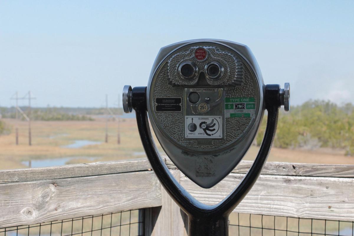 Spend A Day In The Park A Guide To 7 Essential Outdoor