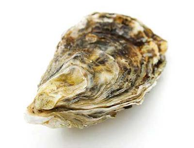 Recycle Your Oyster Shells In Rosewood Food Drink Postandcourier Com Select from premium oyster shell of the highest quality. recycle your oyster shells in rosewood