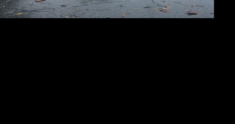 County makes it through tropical storm - Vimarsana News