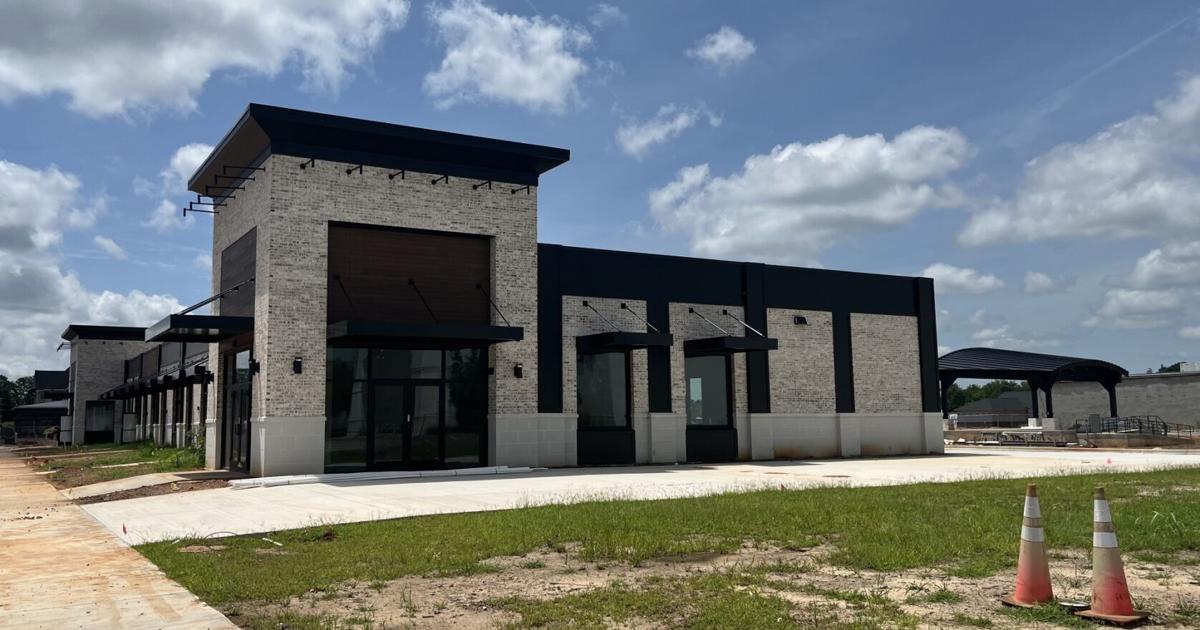 Business roundup: Mirin Fusion Kitchen's opening plans; Checkers property sold
