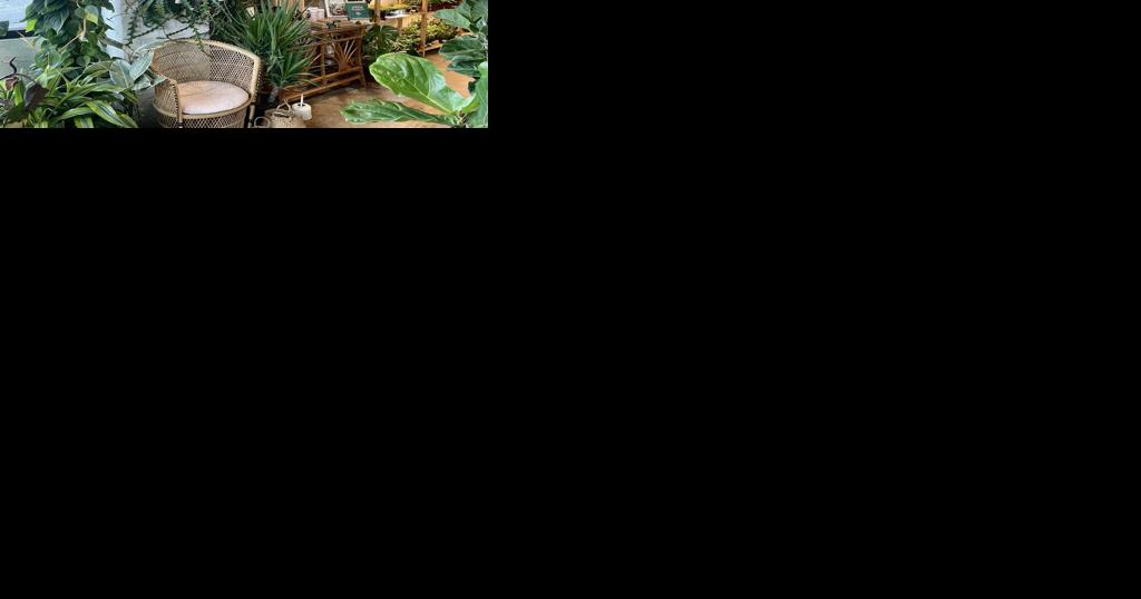 What to do in Greenville: Building a charcuterie board | Greenville - Vimarsana News