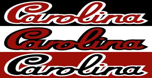 University of South Carolina rebrands with 'Carolina' logo | Sports