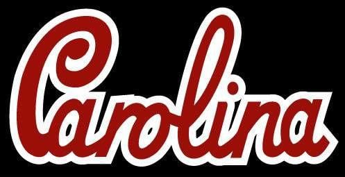 University of South Carolina rebrands with 'Carolina' logo | Sports