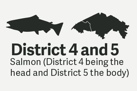 District 4 and 5